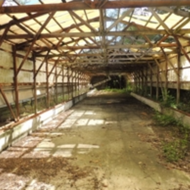 久米南町羽出木の広大な土地!!の画像04